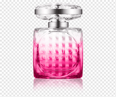 Jimmy Choo Blossom EDP Spray for Women - Tester - Perfume Oasis
